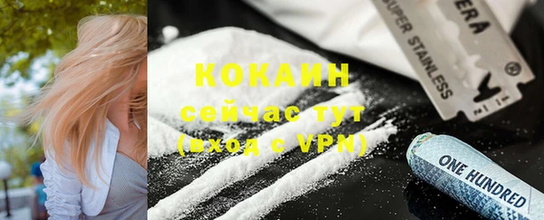 твердый Горнозаводск