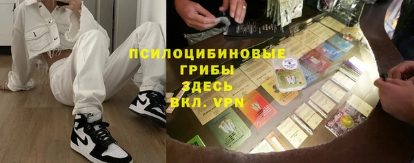 твердый Горнозаводск